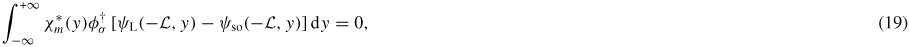 Equation (19)