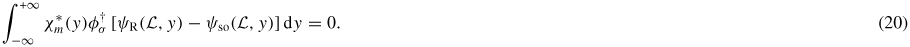 Equation (20)