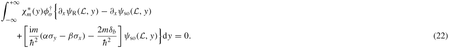 Equation (22)