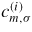 $c^{(i)}_{m,\sigma}$