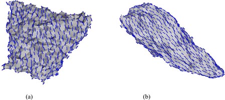 Monte Carlo simulations of fluid vesicles - IOPscience