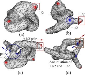 Monte Carlo simulations of fluid vesicles - IOPscience
