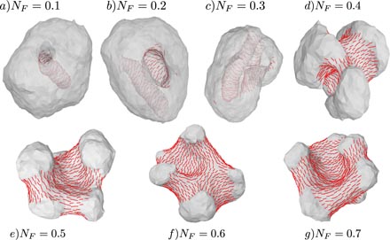 Monte Carlo simulations of fluid vesicles - IOPscience