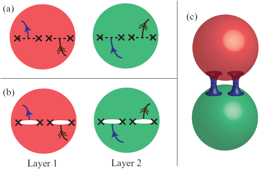 Globally symmetric topological phase: from anyonic symmetry