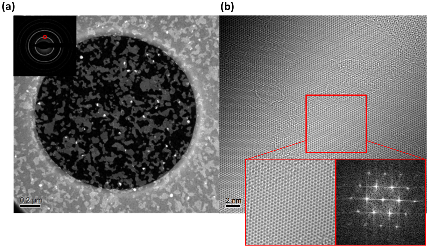 Wafer-scale monolayer MoS2 grown by chemical vapor deposition using a ...