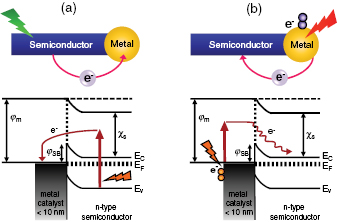 The effect of hot electrons and surface plasmons on heterogeneous ...
