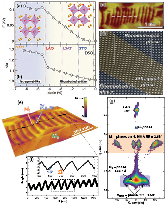 Ethanol Gas Sensors Using Semi-Hedgehog-like CuO