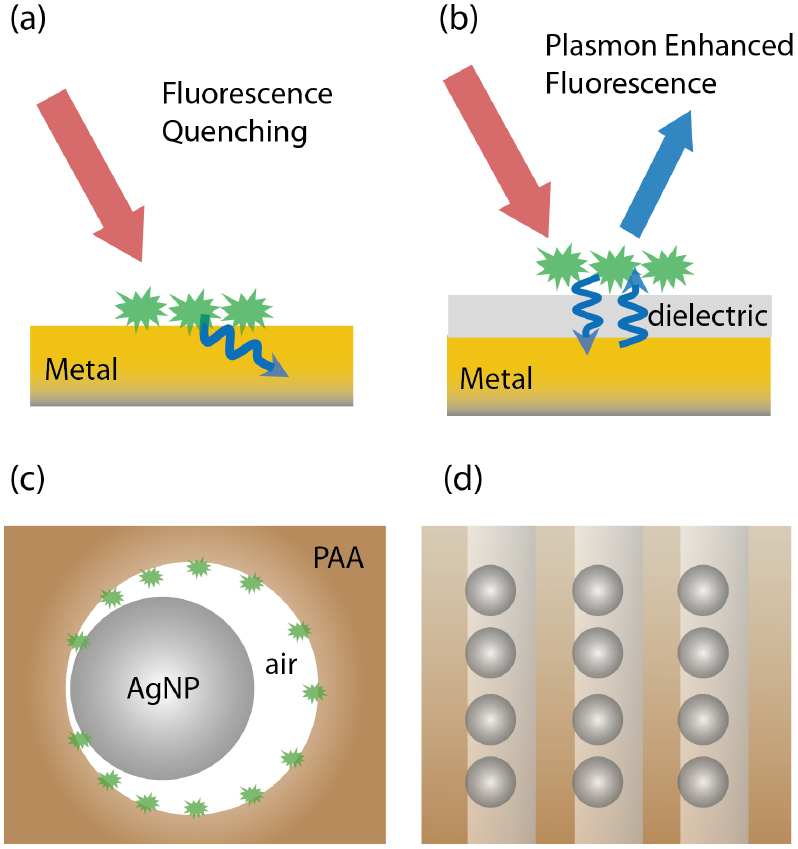 Controlled plasmon enhanced fluorescence by silver nanoparticles ...