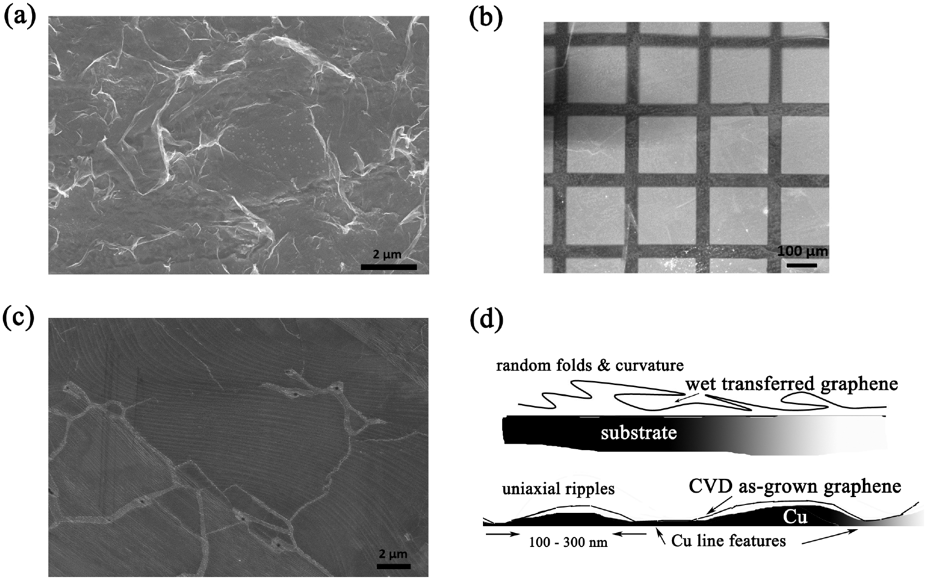 Estimating the thermal expansion coefficient of graphene: the role