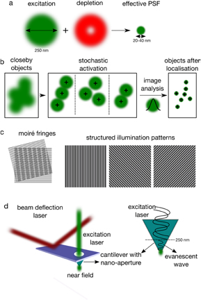 Super-resolution optical microscopy for studying membrane structure and ...