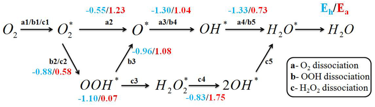 A full understanding of oxygen reduction reaction mechanism on Au(1 1 1 ...