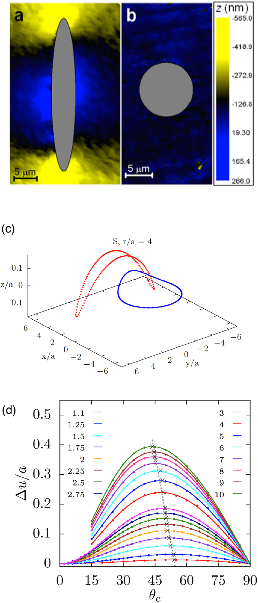 Nano- and microparticles at fluid and biological interfaces - IOPscience