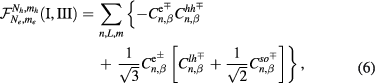 Equation (6)