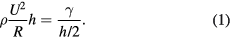Equation (1)