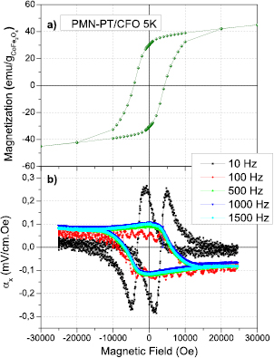 Dynamic magnetization on the low temperature magnetoelectric effect in ...