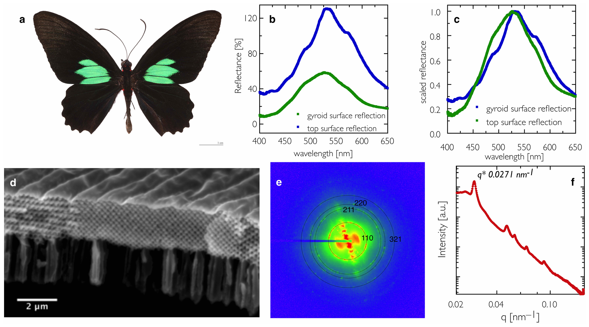 Self-assembling structural colour in nature - IOPscience