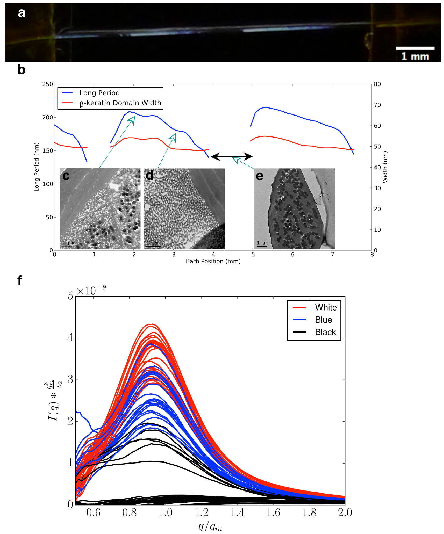 Scattering Based Structural Color Self-assembling structural colour in nature - IOPscience