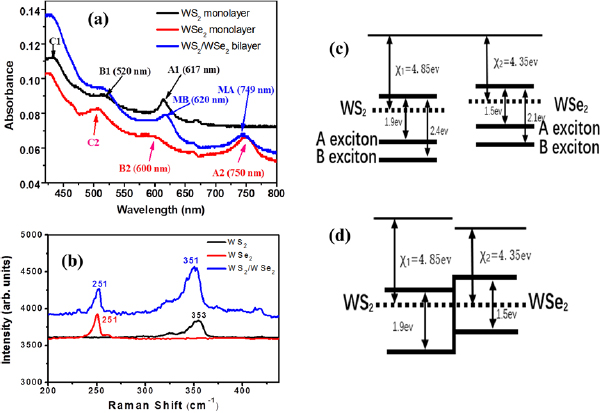 Ultrafast formation and dynamics of interlayer exciton in a large-area ...