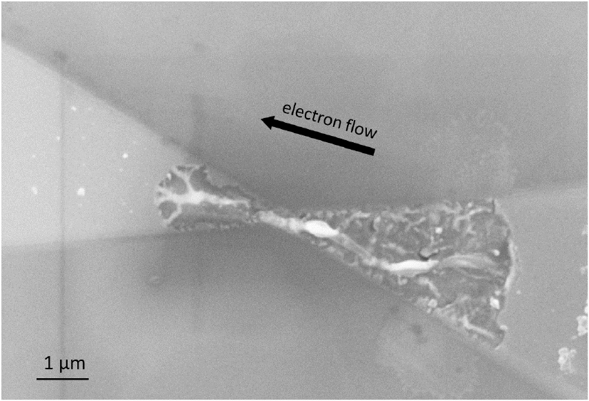 Electromigration and morphological changes in Ag nanostructures ...