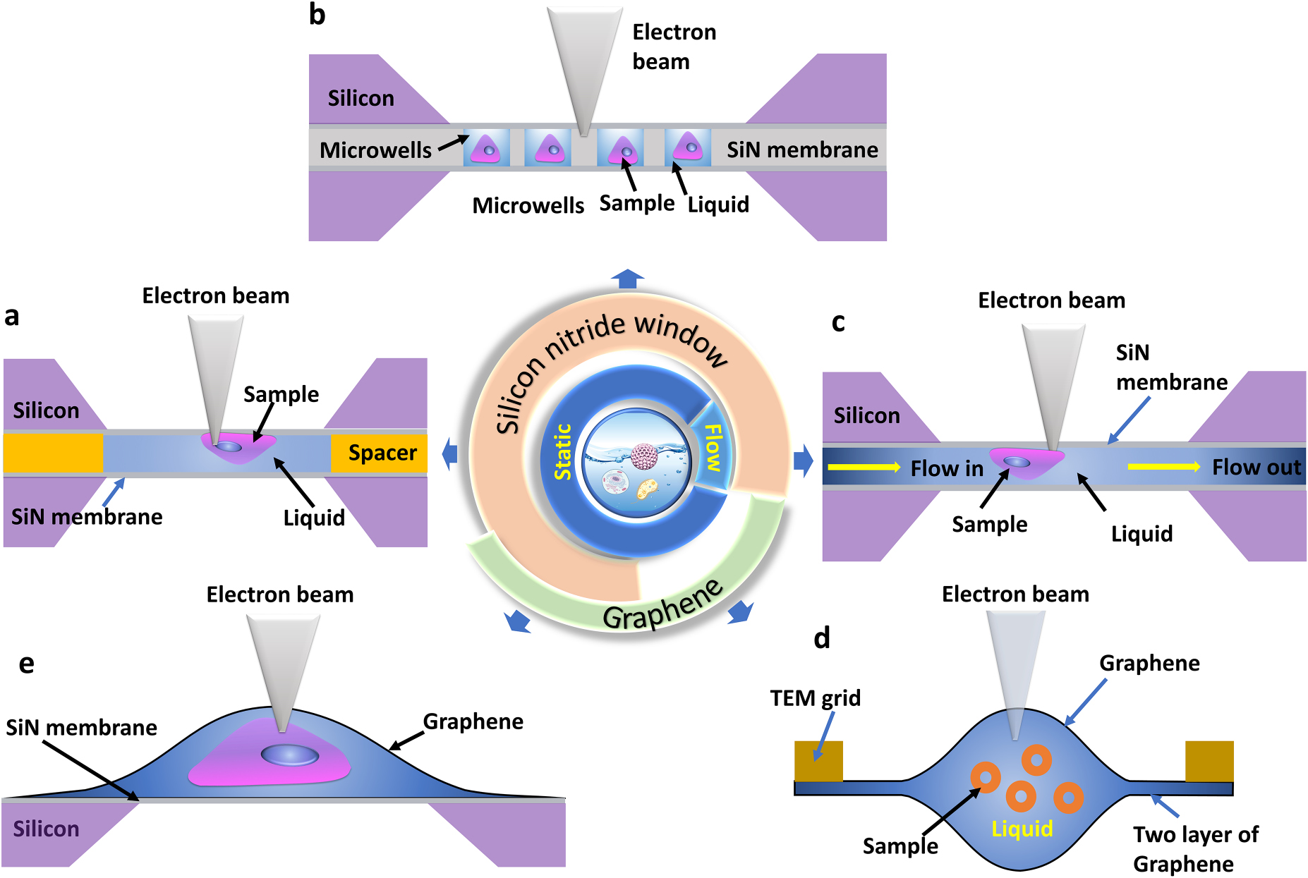 Imaging of soft materials using in situ liquid-cell transmission ...