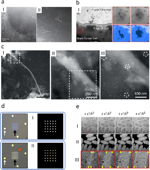 Cell Model From Localized Material Imaging of soft materials using in situ liquid-cell transmission ...