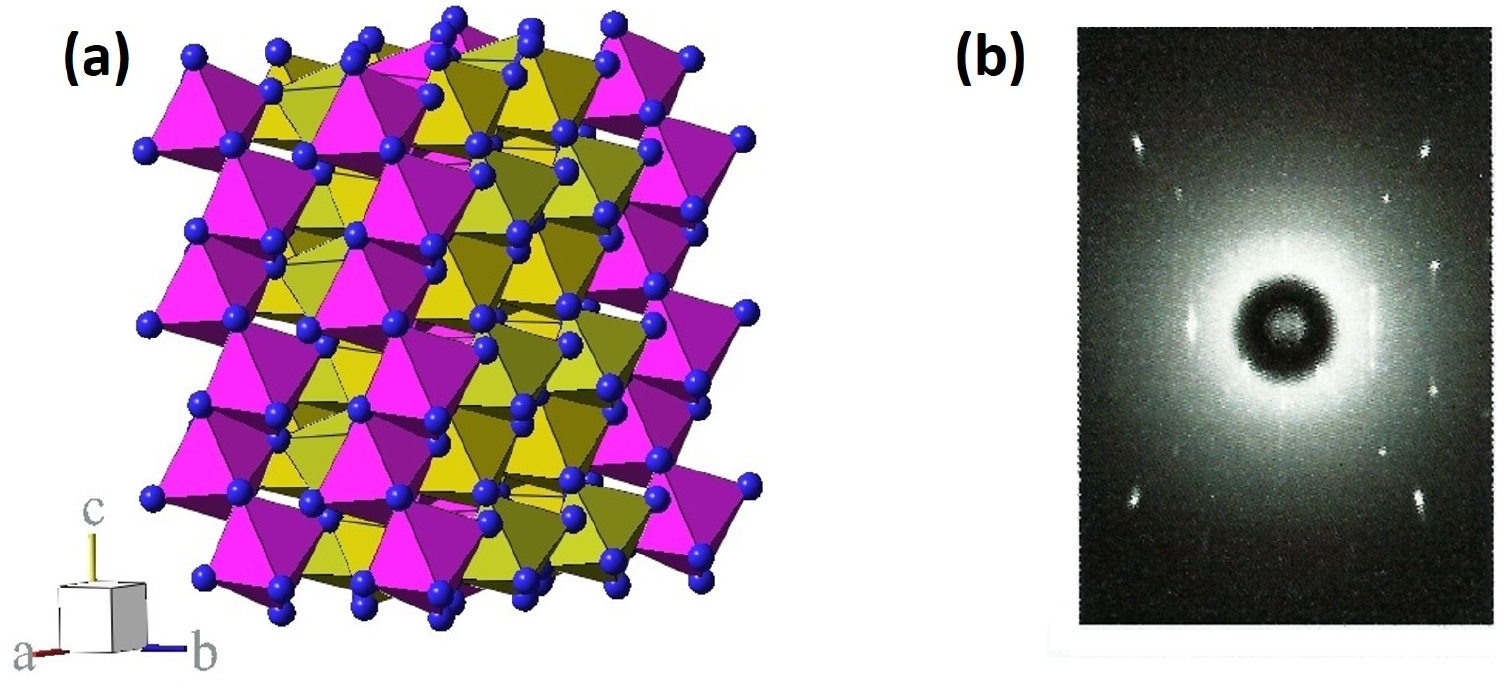 Spin-charge-lattice coupling in quasi-one-dimensional Ising spin chain ...