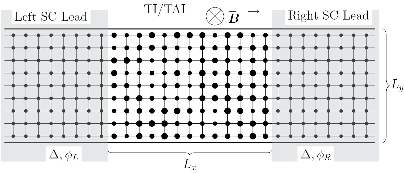 Quantum interference of Josephson current in topological Anderson ...