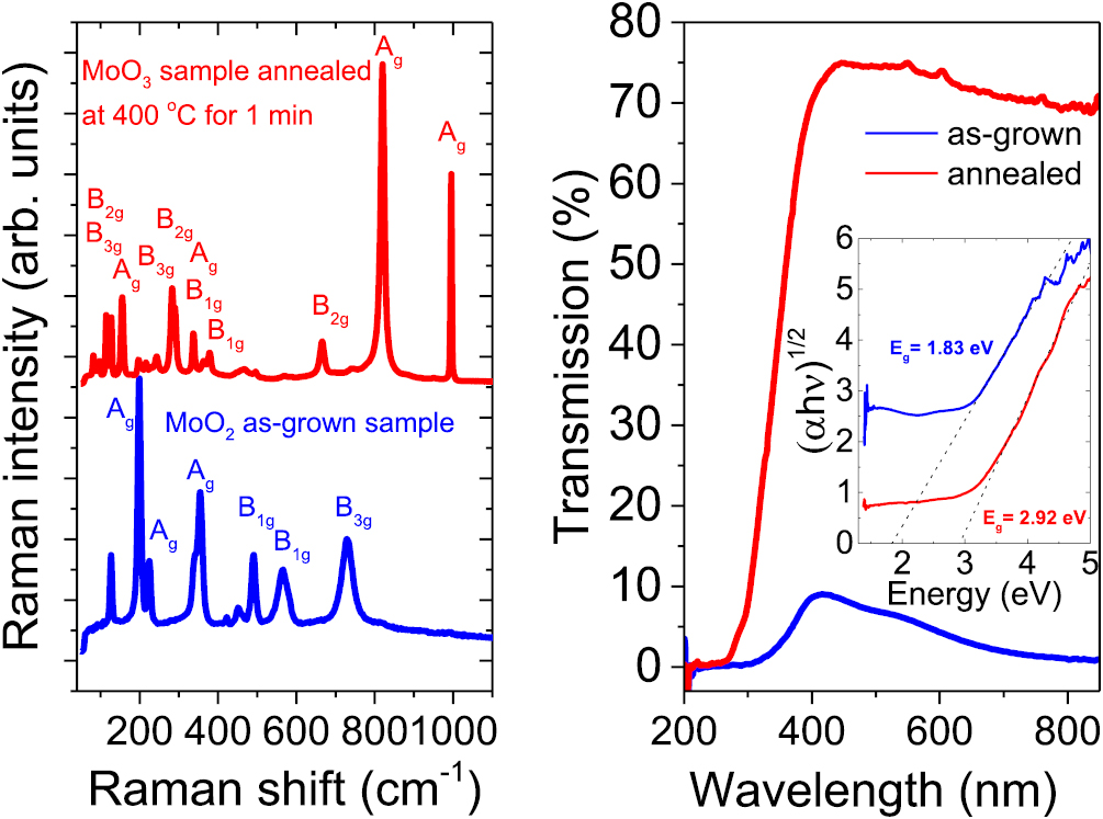 Optical and electrical properties of MoO2 and MoO3 thin films prepared ...