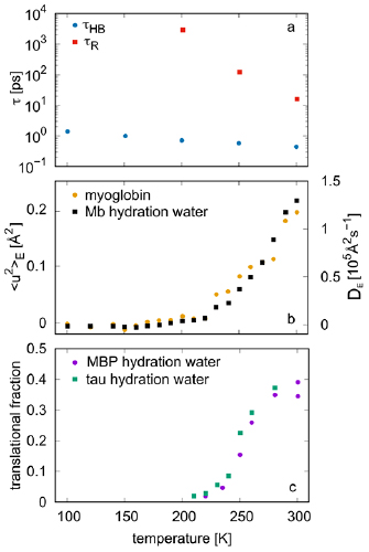 Role of hydration water in the onset of protein structural dynamics ...