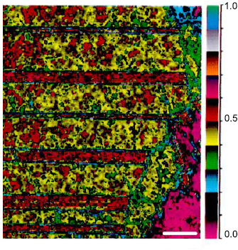 Optical studies of ferroelectric and ferroelastic domain walls - IOPscience