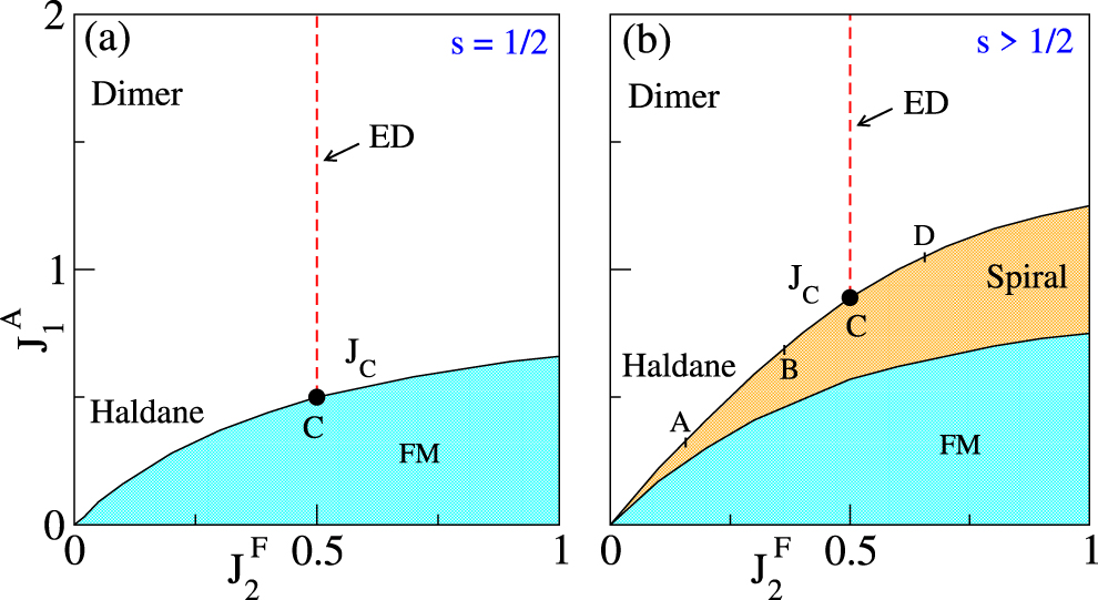 Haldane and dimer phases in a frustrated spin chain: an exact ...