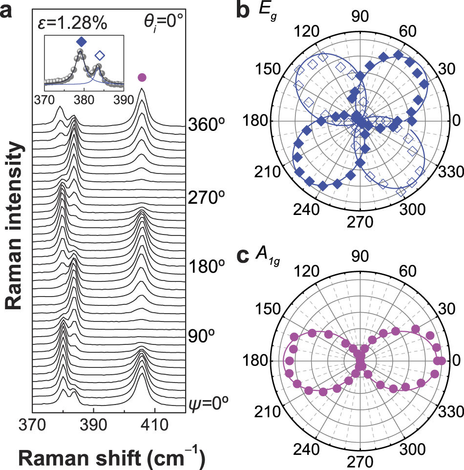 Polarized Raman spectroscopy for studying two-dimensional materials ...