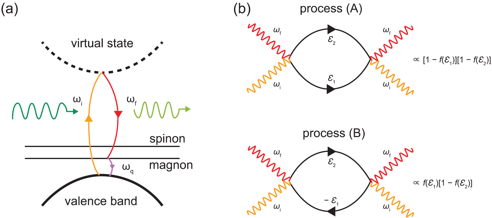 Raman spectroscopic diagnostic of quantum spin liquids - IOPscience