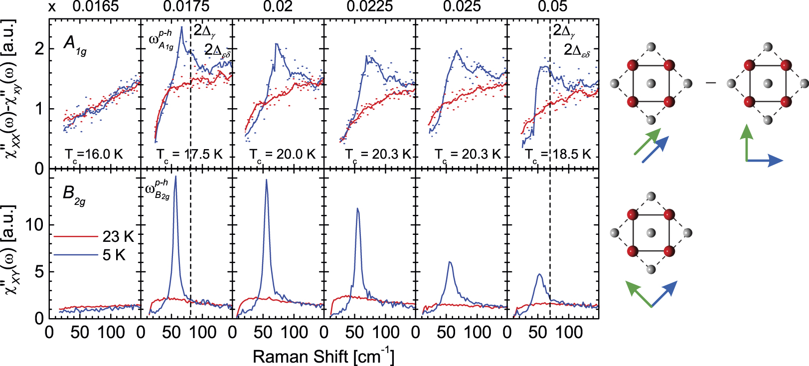 Fluctuations and pairing in Fe-based superconductors: light