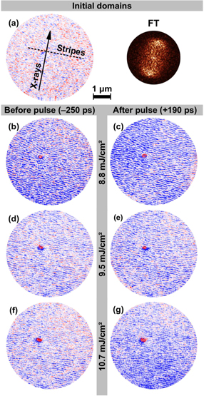 A local view of the laser induced magnetic domain dynamics in CoPd ...