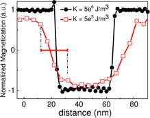 A local view of the laser induced magnetic domain dynamics in CoPd ...