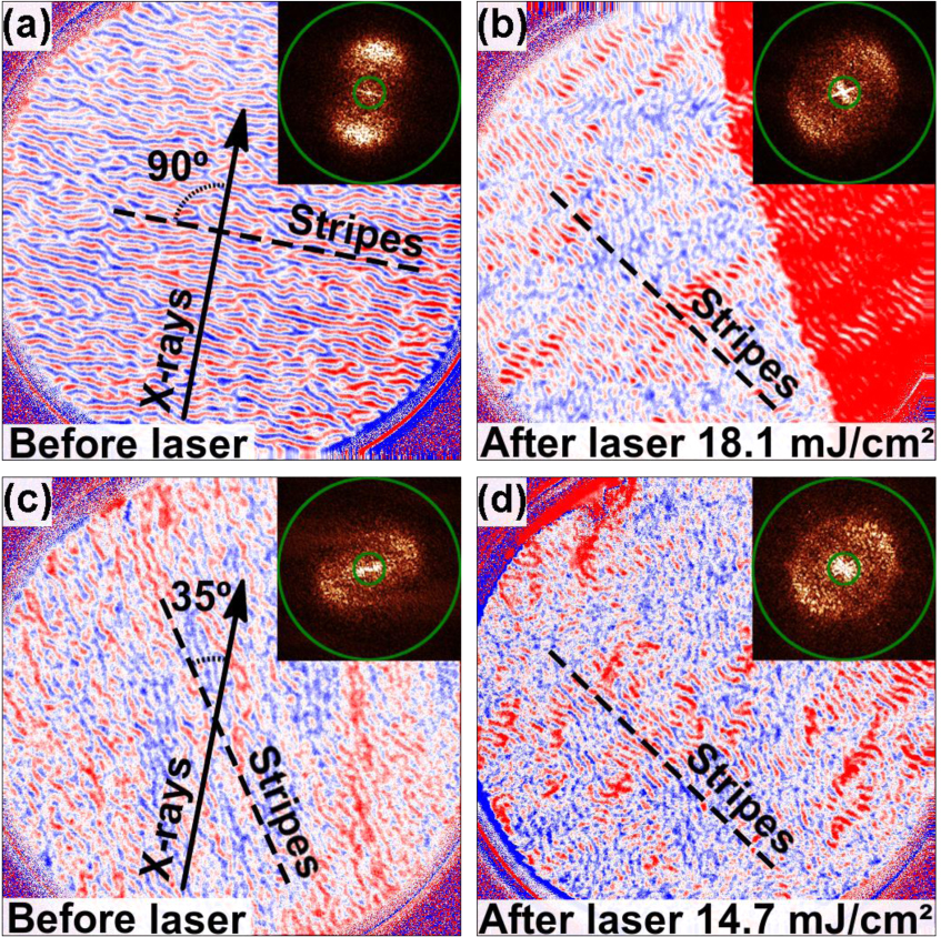 A local view of the laser induced magnetic domain dynamics in CoPd ...