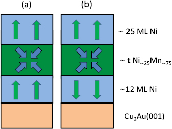 Coupling of pinned magnetic moments in an antiferromagnet to a ...