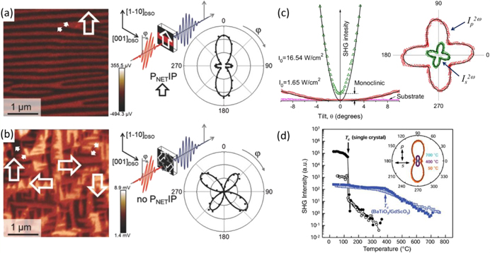 In situ monitoring of epitaxial ferroelectric thin-film growth - IOPscience
