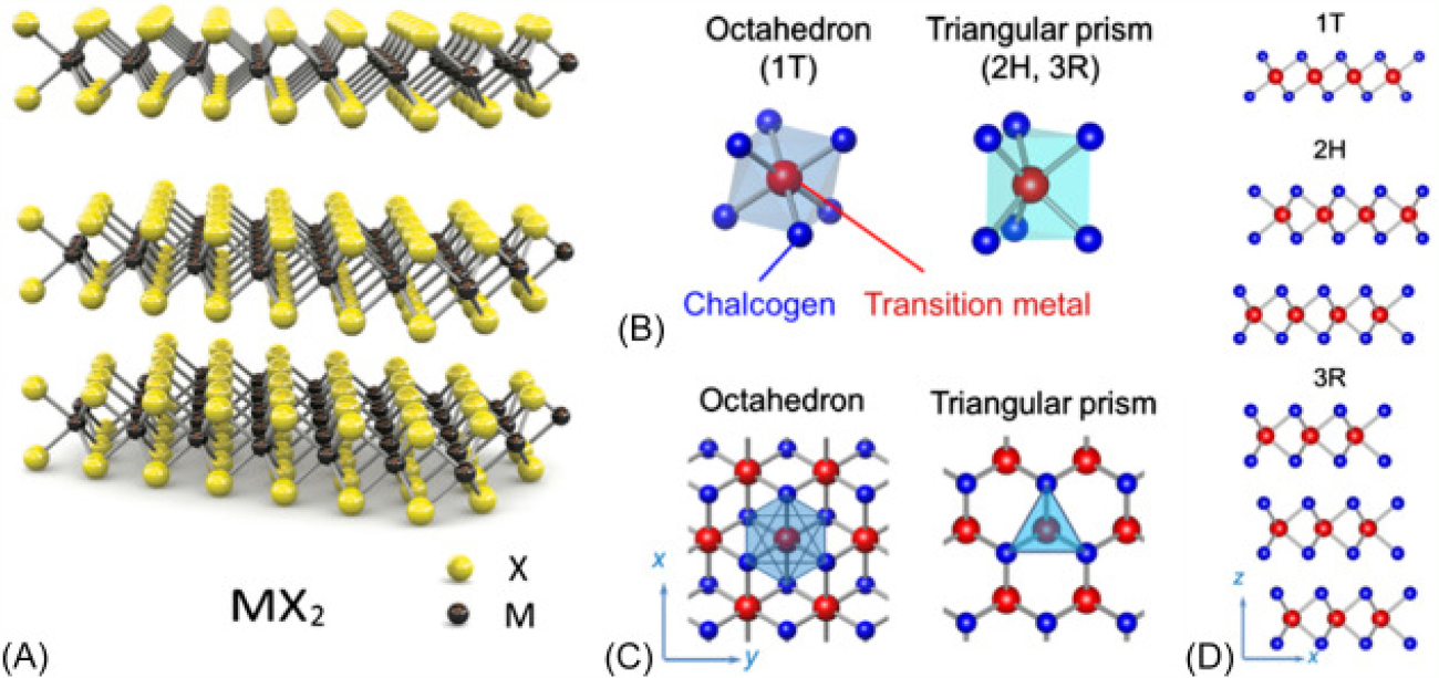 Tmds Examples Transition metal dichalcogenide (TMDs) electrodes for supercapacitors ...