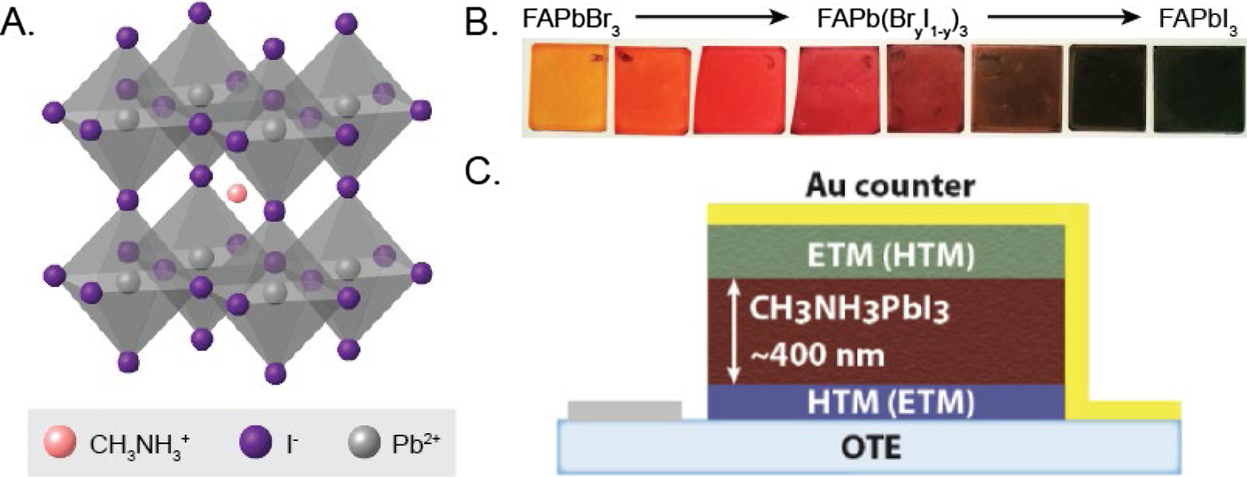 The 2021 ultrafast spectroscopic probes of condensed matter