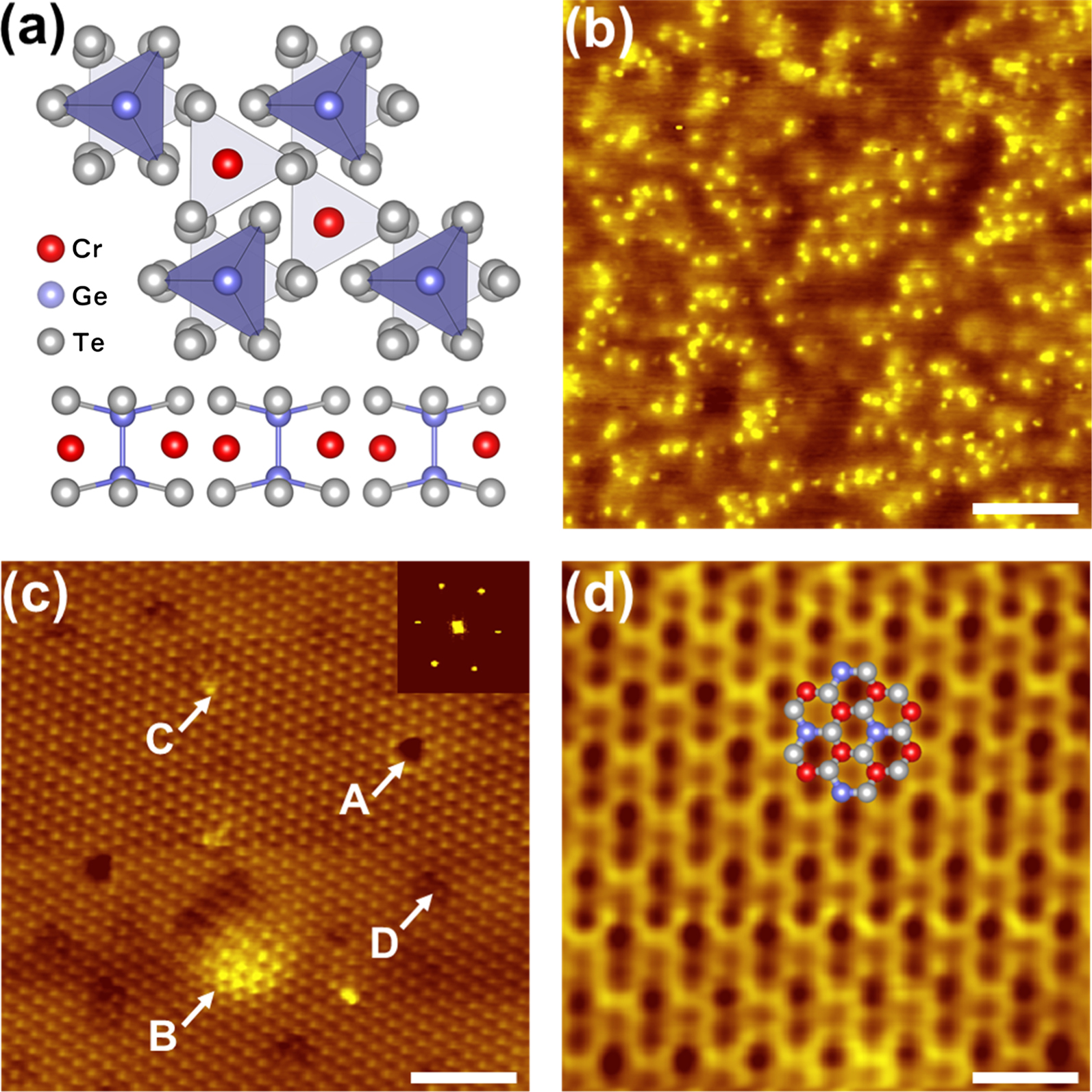 Epitaxial growth of Bi(110) and Bi2Se3 thin films on a ferromagnetic ...