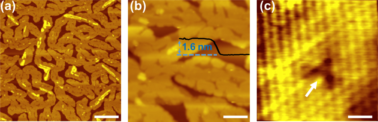 Epitaxial growth of Bi(110) and Bi2Se3 thin films on a ferromagnetic ...
