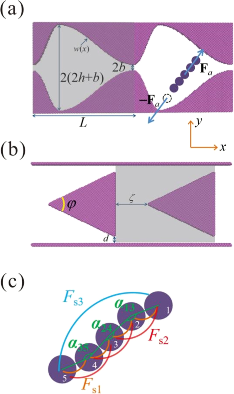 Enhancing directed collective motion of self-propelled particles in ...