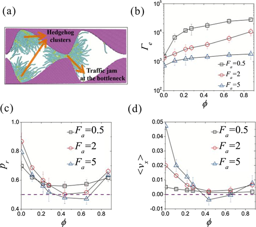 Enhancing directed collective motion of self-propelled particles in ...