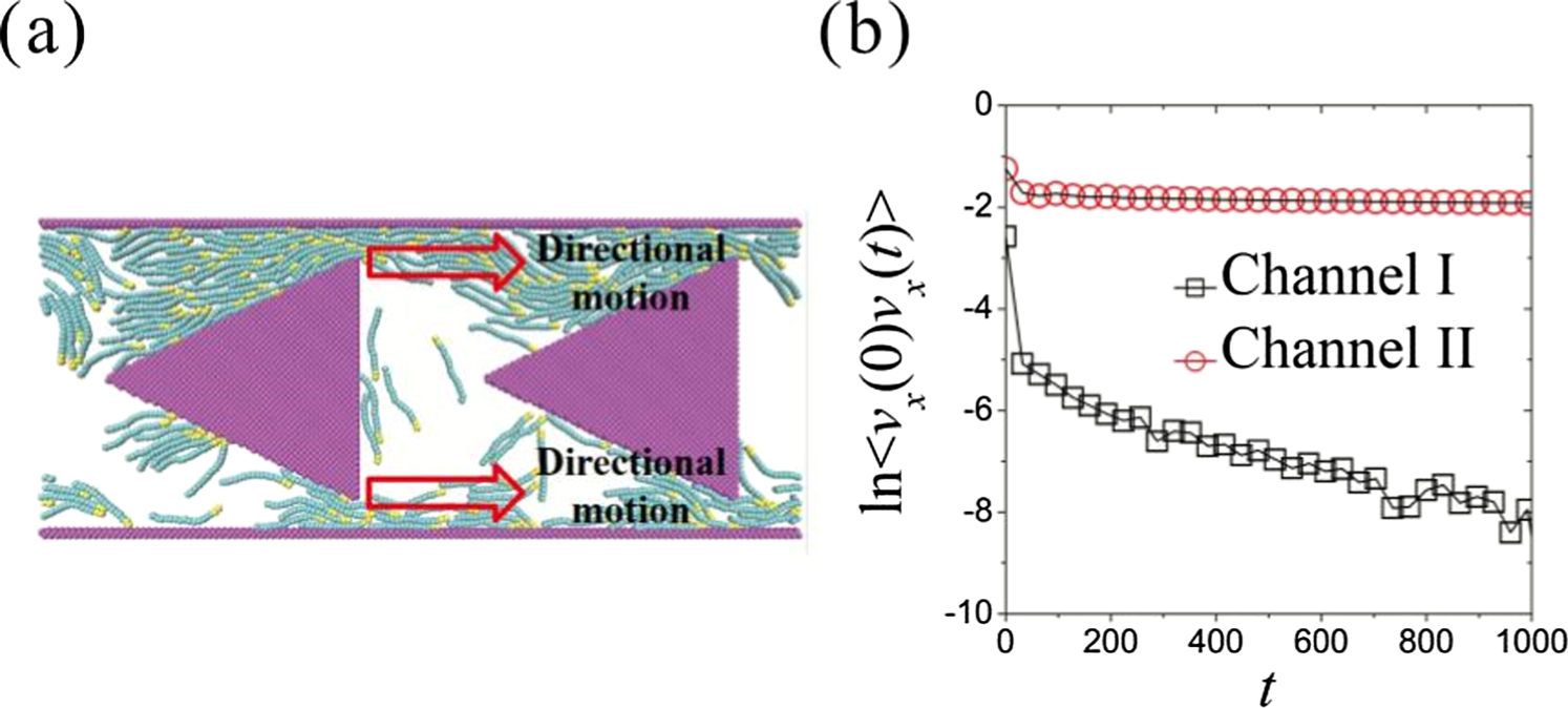 Enhancing directed collective motion of self-propelled particles in ...