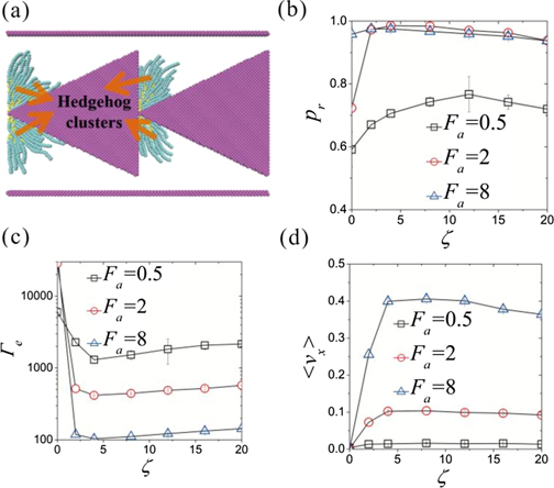 Enhancing directed collective motion of self-propelled particles in ...