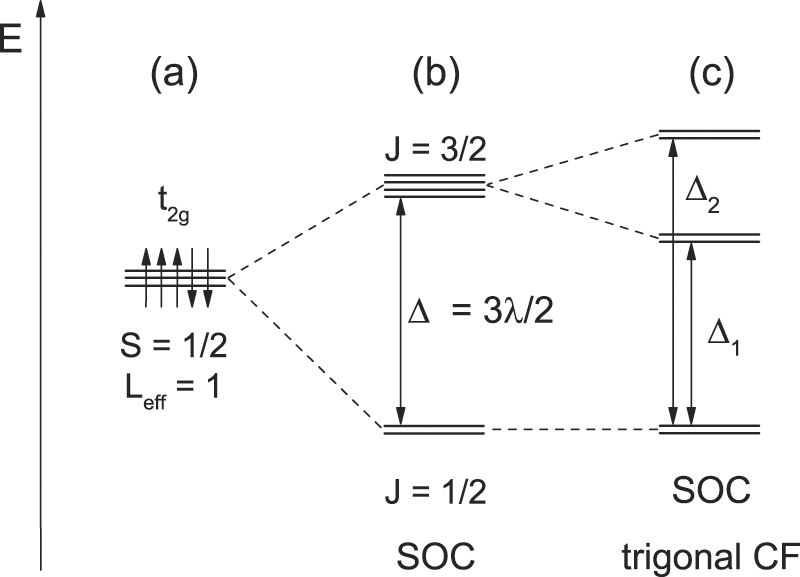 On the proximate Kitaev quantum-spin liquid α-RuCl3: thermodynamics ...