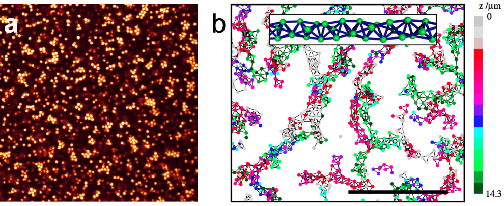 Colloid Image Real space analysis of colloidal gels: triumphs, challenges and future ...
