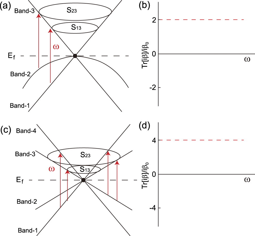 Topology and symmetry of circular photogalvanic effect in the chiral ...